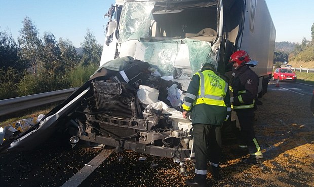 La Operación Especial de Navidad se salda con 50 muertos en las carreteras, 6 más que el año pasado.