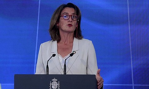 Ribera destaca el 'papel determinante' que debe jugar el sector financiero en la transición energética.