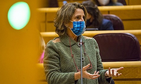 El Gobierno exime por 14 meses a los titulares de los gasoductos con Argelia de separar actividades.