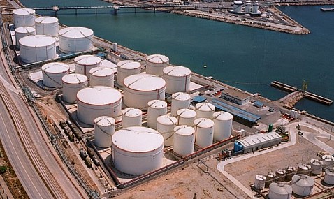 Euroenergo registró en 2020 el 100% de ocupación de su terminal