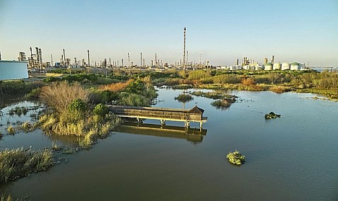 Cepsa inicia la producción de biocombustibles avanzados en su Parque Energético de Huelva.