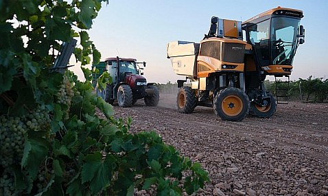 Agricultores y ganaderos tendrán reducciones fiscales excepcionales por la compra de gasóleo y fertilizantes.