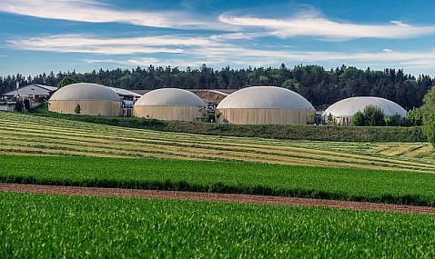 Ocho empresas lanzan APPA Biogás, que impulsará el biogás y el biometano desde APPA Renovables.