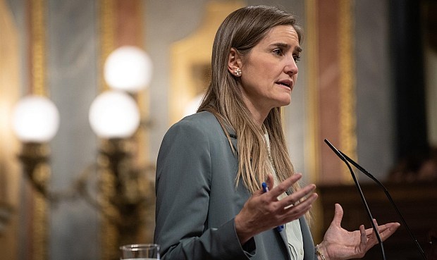 El PSOE ha cuestionado este martes la propuesta de Podemos para crear una empresa pública en el sector energético porque esto "no sería garantía" de dar un mejor servicio en la industria y supondría desviar fondos necesarios "en otras prioridades".