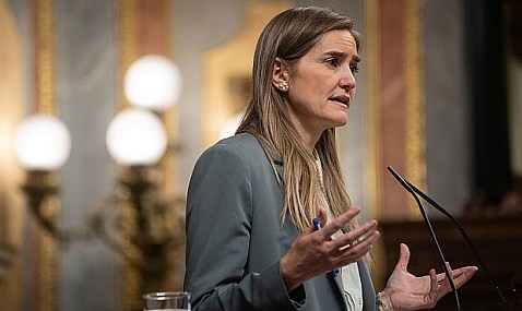 El PSOE cuestiona crear una empresa pública de energía porque "no sería garantía de un mejor servicio"