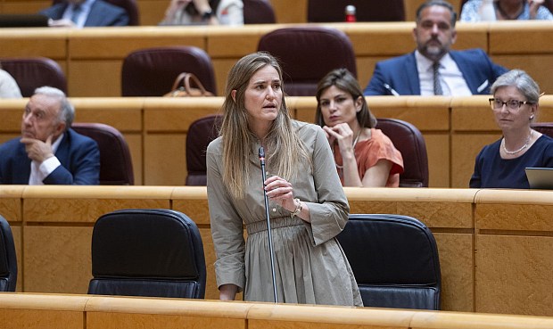 En su comparecencia en el Pleno del Senado a pregunta del senador del Partido Popular Eloy Suárez, Aagesen ha asegurado que no va a pasar "ni un solo bulo sobre lo que ocurrió el pasado 28 de abril".