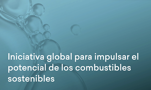 En una declaración, entre cuyos firmantes también se encuentra la española Sernauto y otras asociaciones de diferentes países europeos, reclaman a Bruselas apostar por una mayor flexibilidad en la revisión de los estándares de emisiones de CO2 marcados para 2035