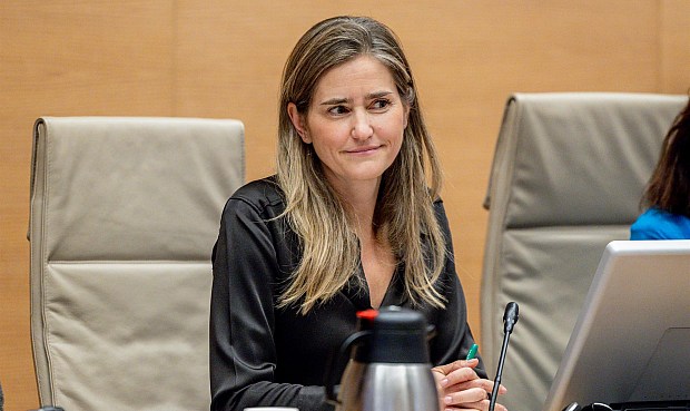 El programa Renocogen -cuyo periodo de solicitud de las ayudas ser&aacute; del 26 de enero hasta el 2 de marzo- est&aacute; espec&iacute;ficamente orientado a titulares de plantas de cogeneraci&oacute;n y de tratamiento de residuos que reemplacen las fuentes f&oacute;siles por renovables.