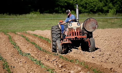 Devolución gasóleo agrícola: cuánto y cómo solicitarla