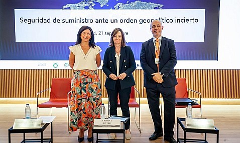 El sector energético ve las renovables y la electrificación como pilares para la seguridad de suministro