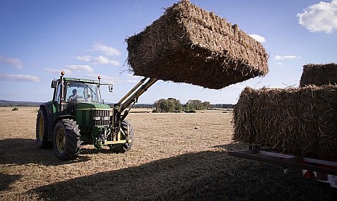 Gobierno extiende a diciembre la ayuda de 20 c&eacute;ntimos al gas&oacute;leo agr&iacute;cola y pesquero por alza de precios