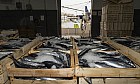 Cepesca ve "insuficiente" la pr&oacute;rroga de las ayudas y alerta del riesgo para la flota y los precios