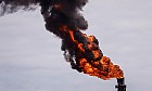 La Agencia Internacional de la Energ&iacute;a (AIE) se compromete a acelerar la liberaci&oacute;n de 100 millones de barriles de petr&oacute;leo y di&eacute;sel