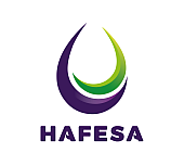 Hafesa